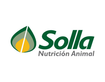Corporate Consultoría de Marca - Logo Solla